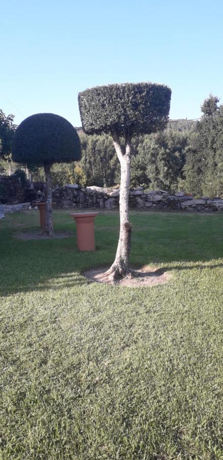 Vivenda Agostinho Villa Arcos de Valdevez Exterior foto